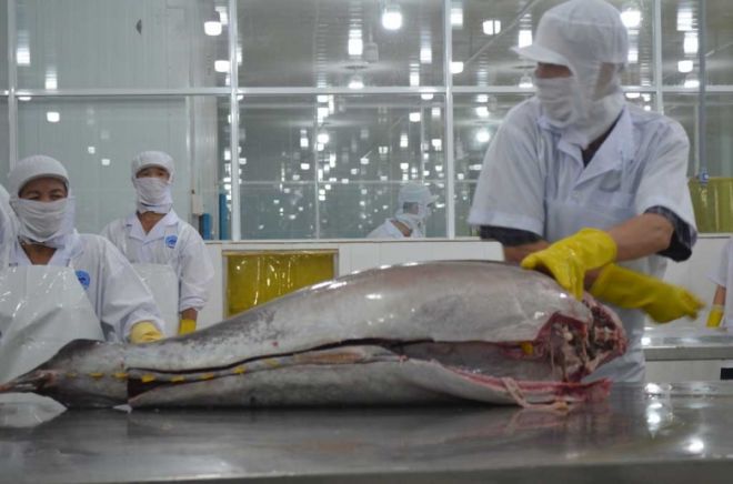 Sunsirse Seafood Co., Ltd - Hai San Binh Minh
